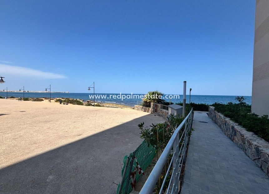 Reventa - Apartamento -
Torrevieja - Punta prima