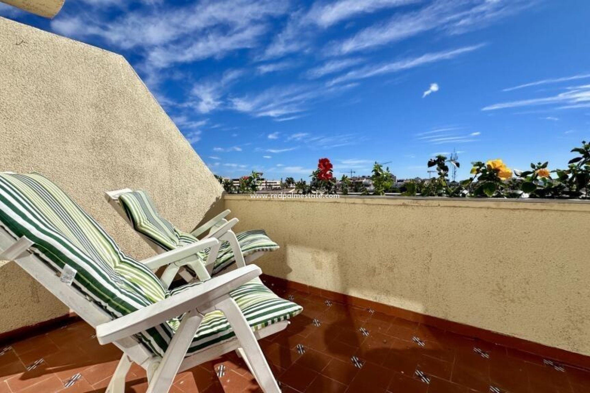 Reventa - Apartamento -
Torrevieja - Punta prima