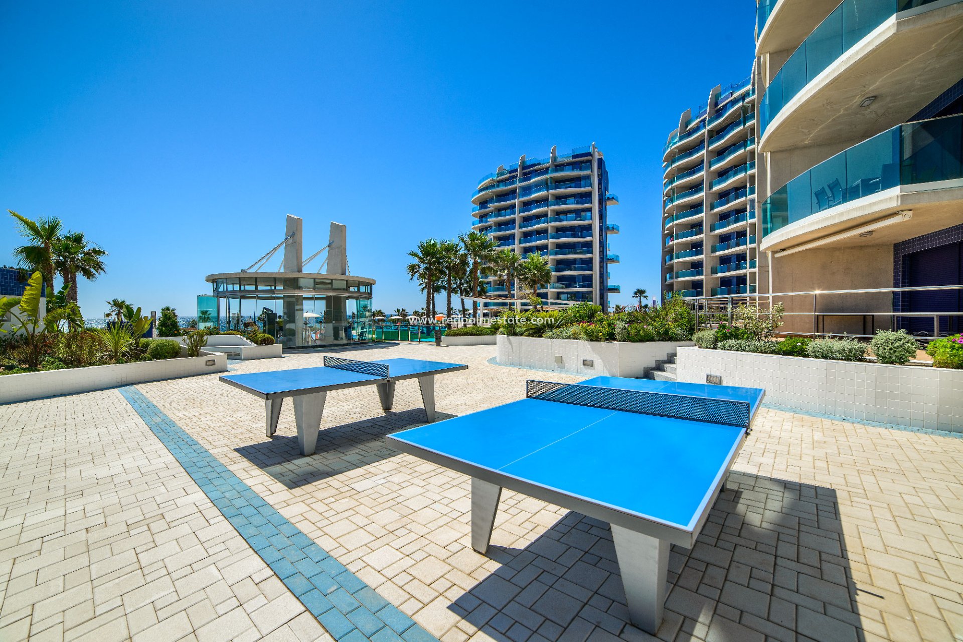 Reventa - Apartamento -
Torrevieja - Punta prima