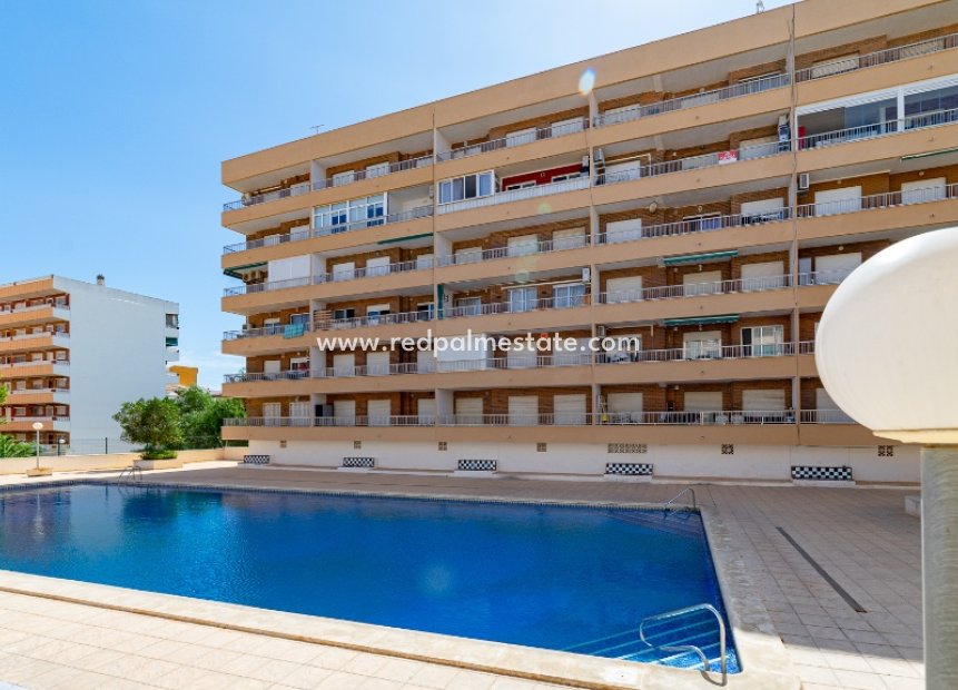 Reventa - Apartamento -
Torrevieja - Punta prima