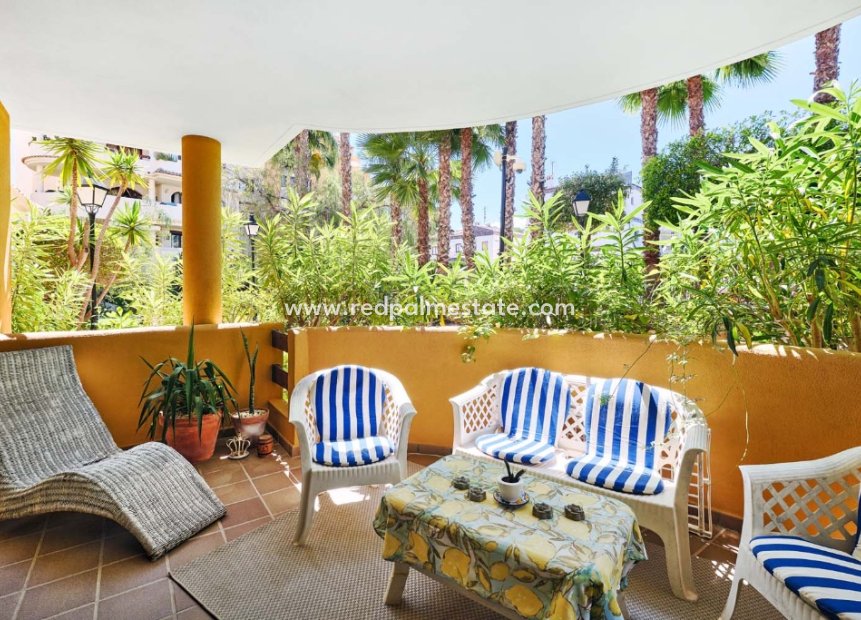 Reventa - Apartamento -
Torrevieja - Punta prima