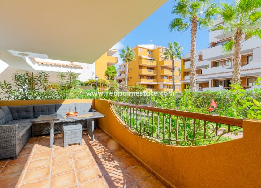 Reventa - Apartamento -
Torrevieja - Punta prima