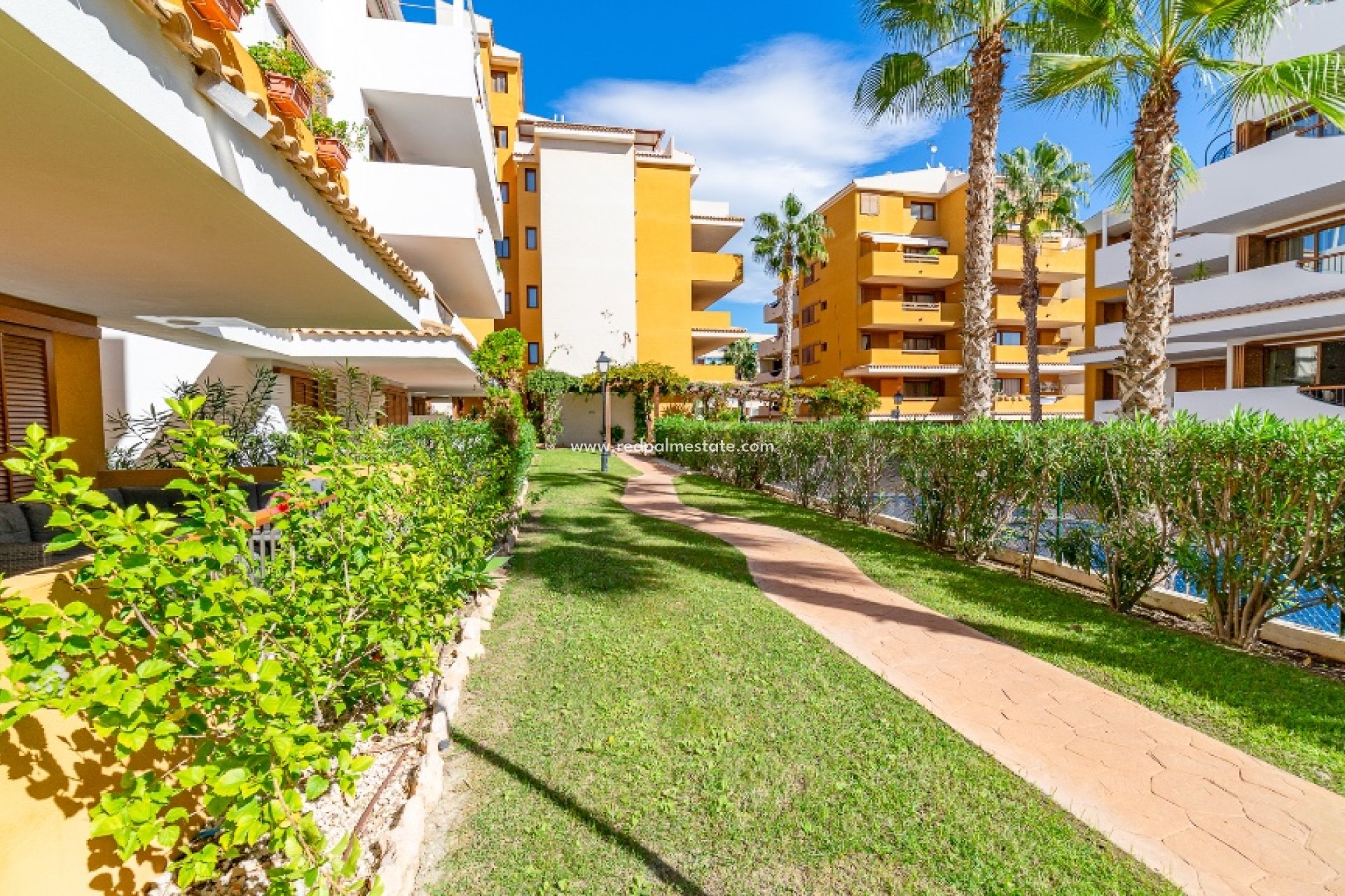 Reventa - Apartamento -
Torrevieja - Punta prima