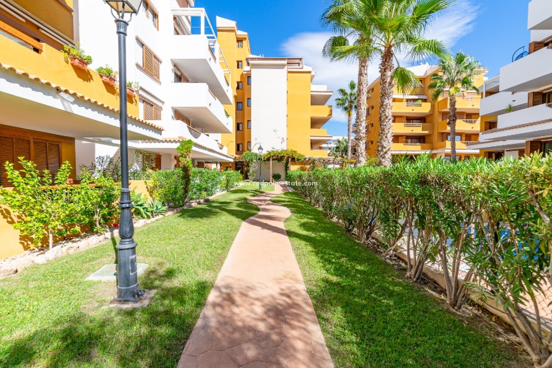 Reventa - Apartamento -
Torrevieja - Punta prima