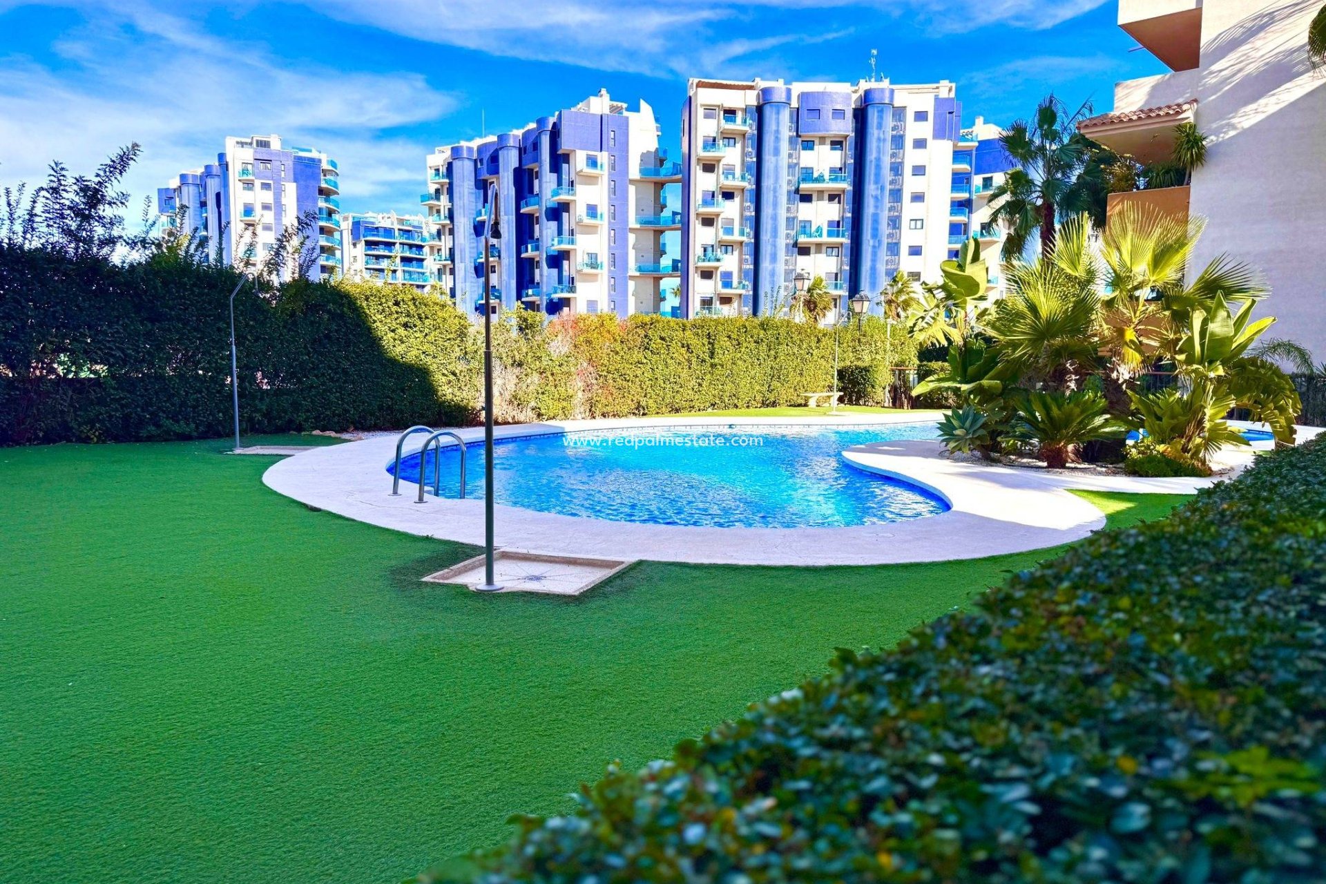 Reventa - Apartamento -
Torrevieja - Punta prima