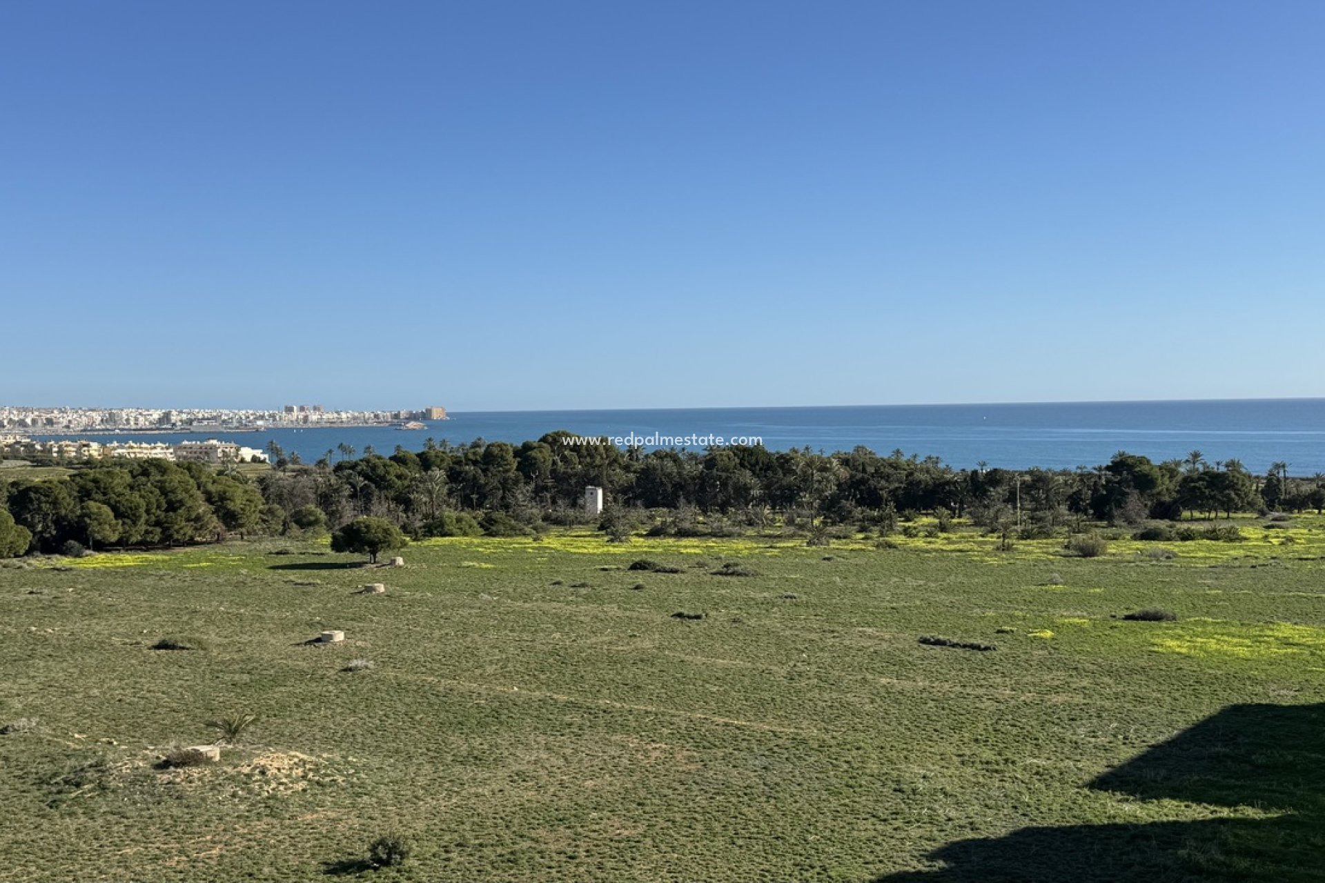 Reventa - Apartamento -
Torrevieja - Punta prima