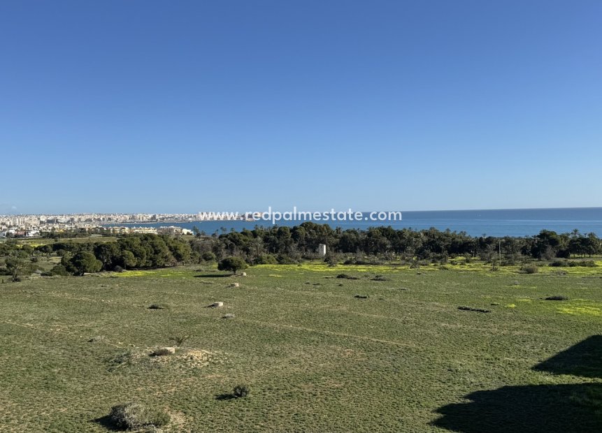 Reventa - Apartamento -
Torrevieja - Punta prima