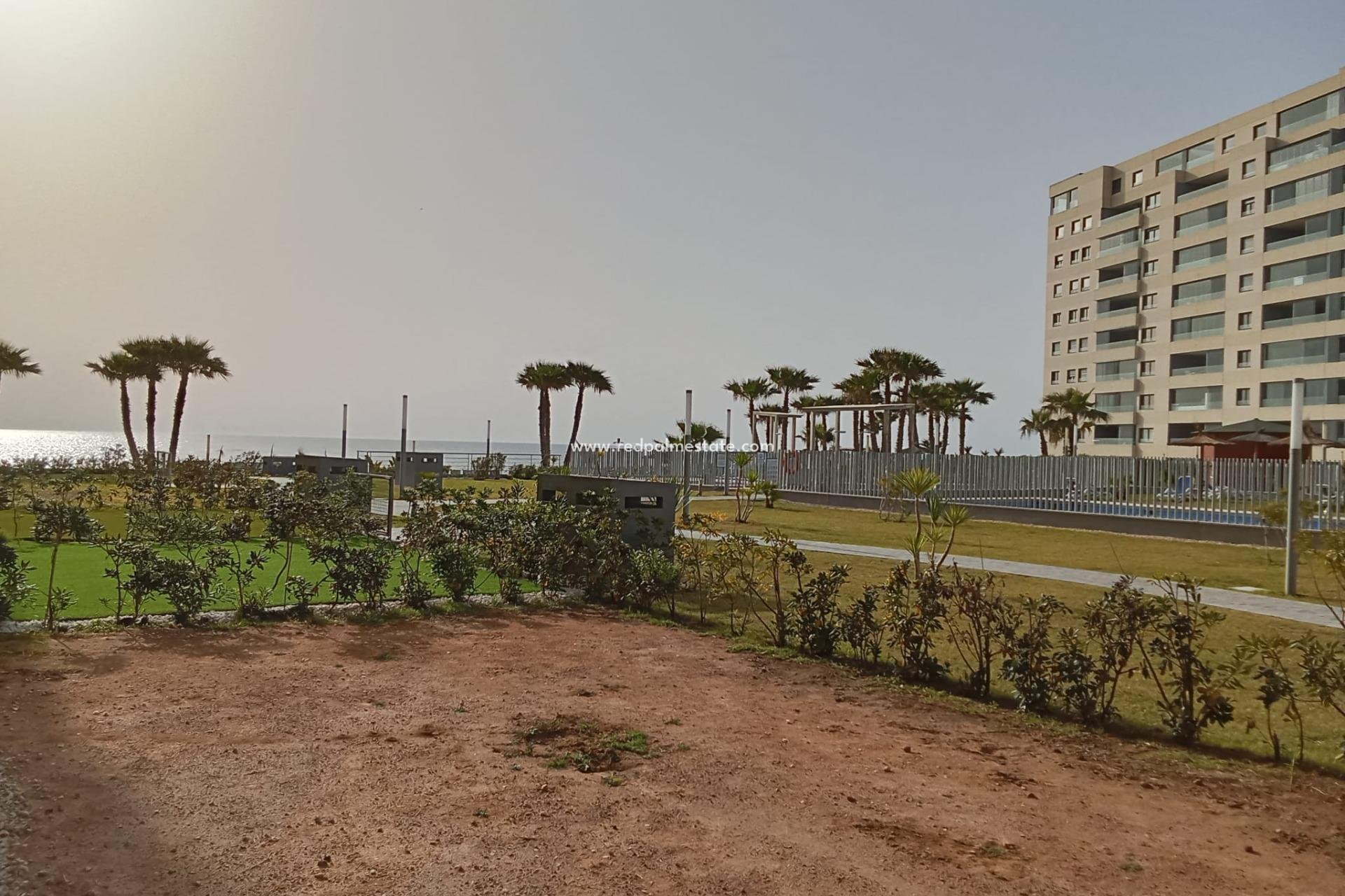 Reventa - Apartamento -
Torrevieja - Punta prima