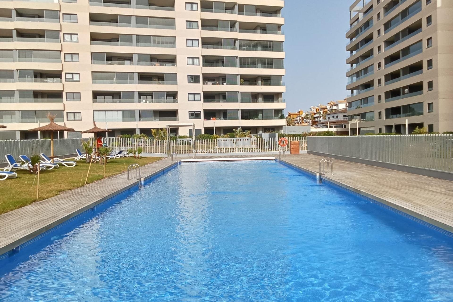 Reventa - Apartamento -
Torrevieja - Punta prima