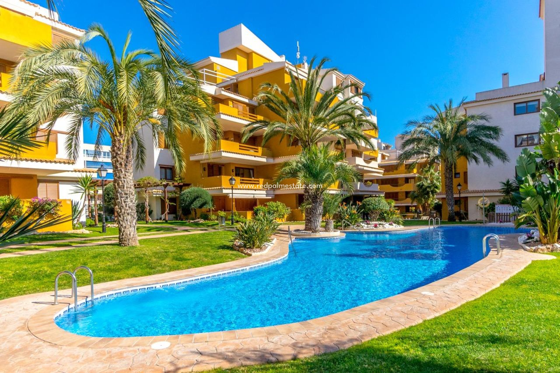 Reventa - Apartamento -
Torrevieja - Punta prima