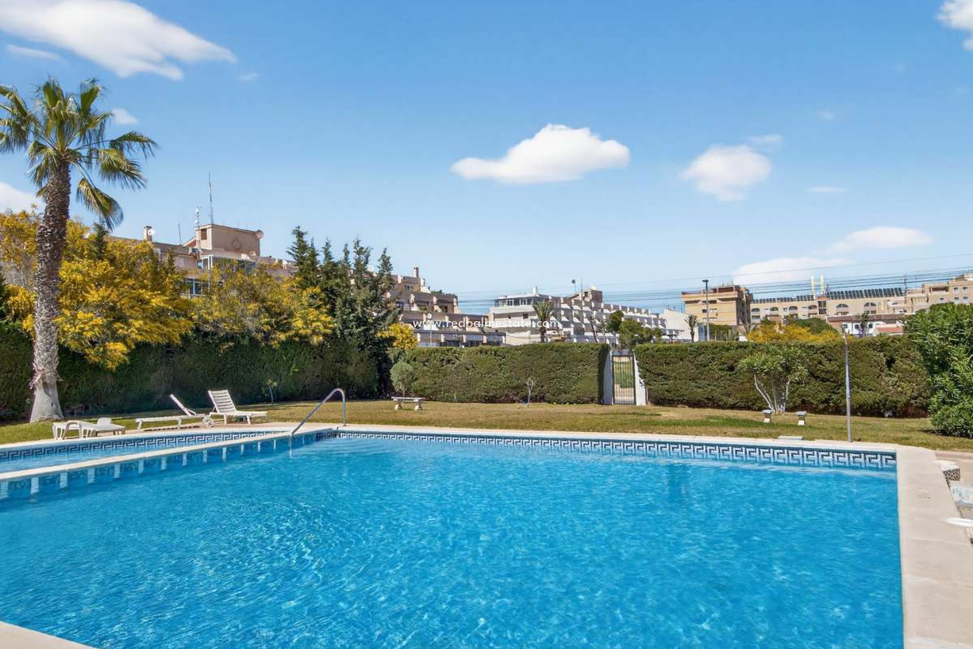Reventa - Apartamento -
Torrevieja - Punta prima
