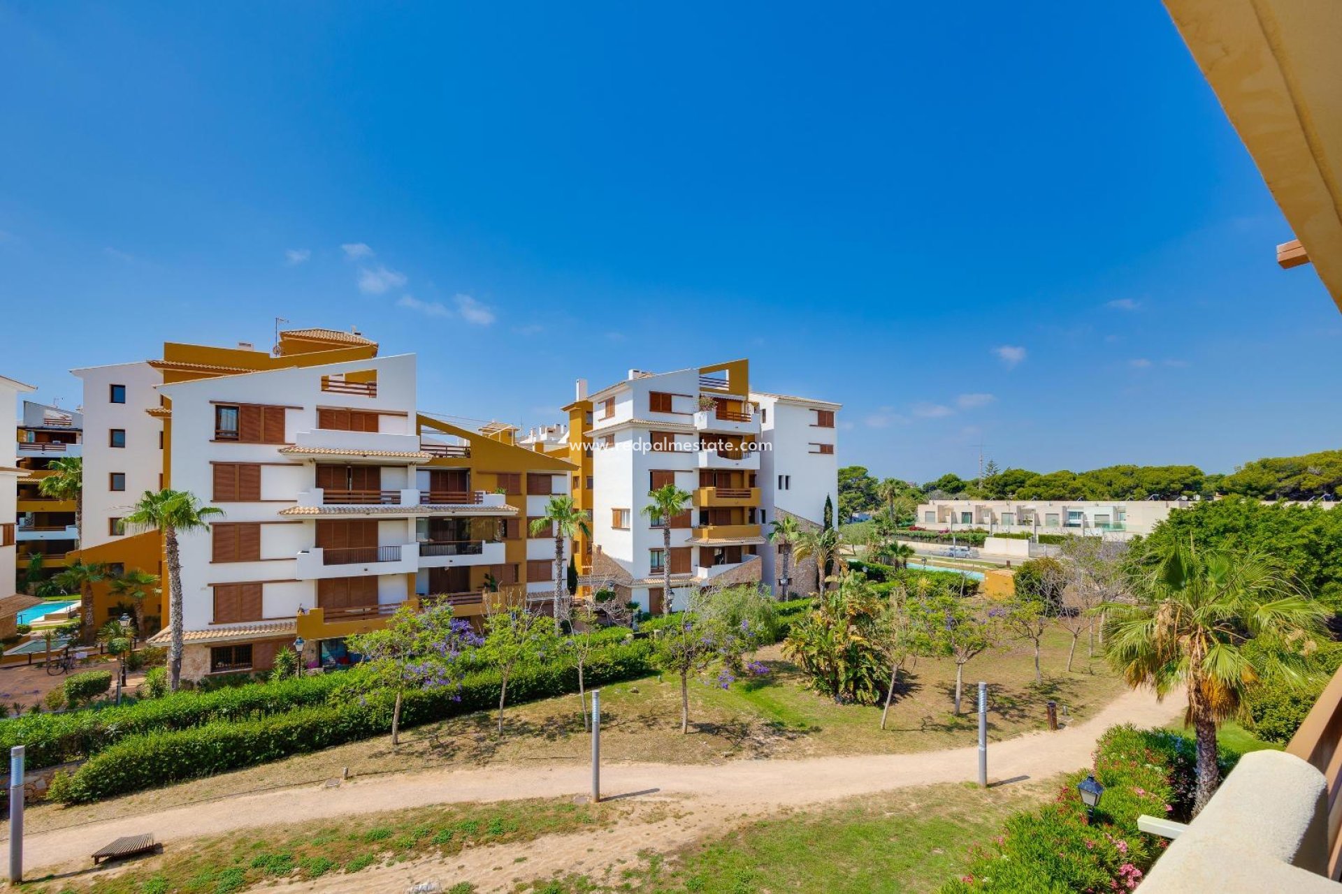 Reventa - Apartamento -
Torrevieja - Punta prima