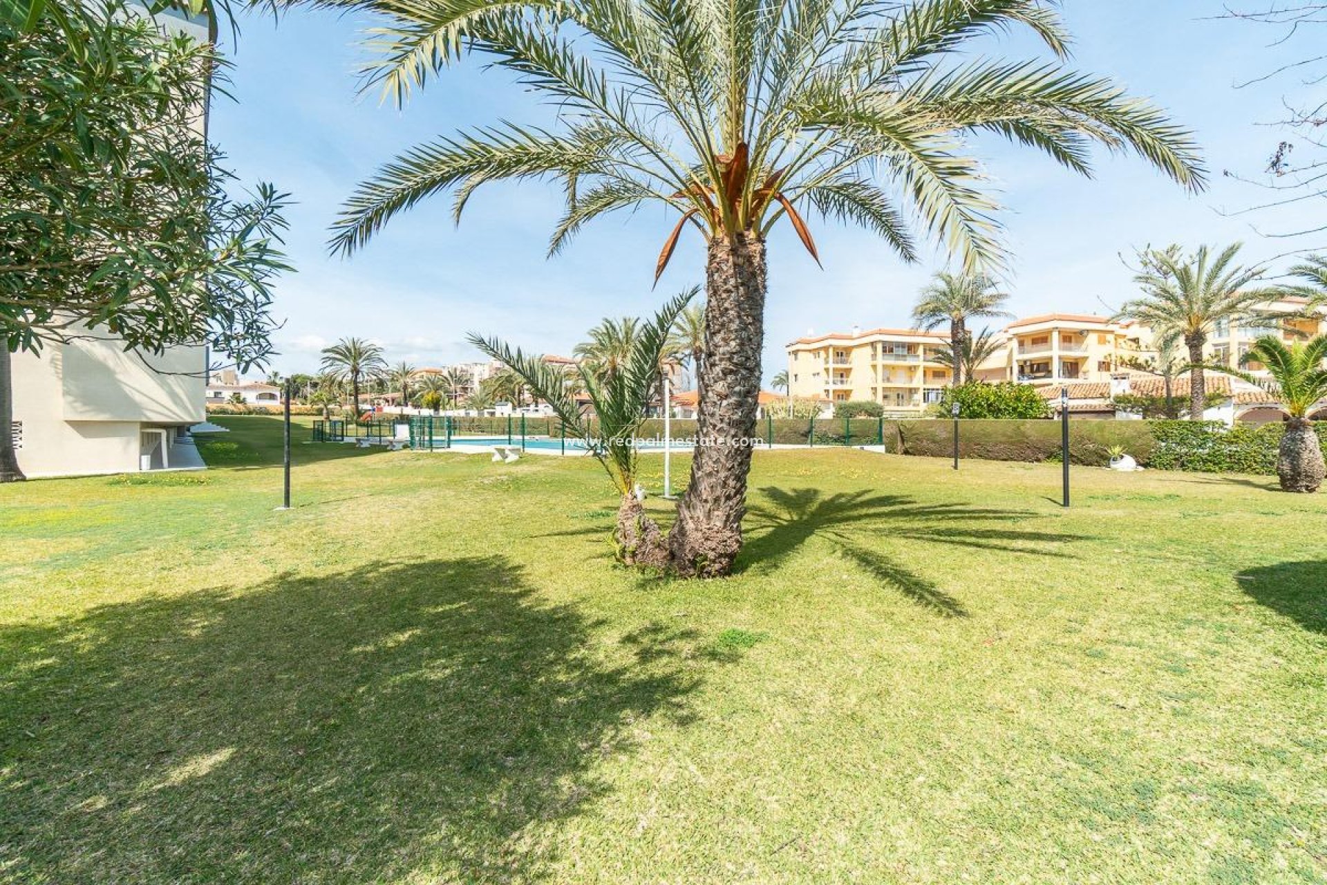 Reventa - Apartamento -
Torrevieja - Rocio del mar