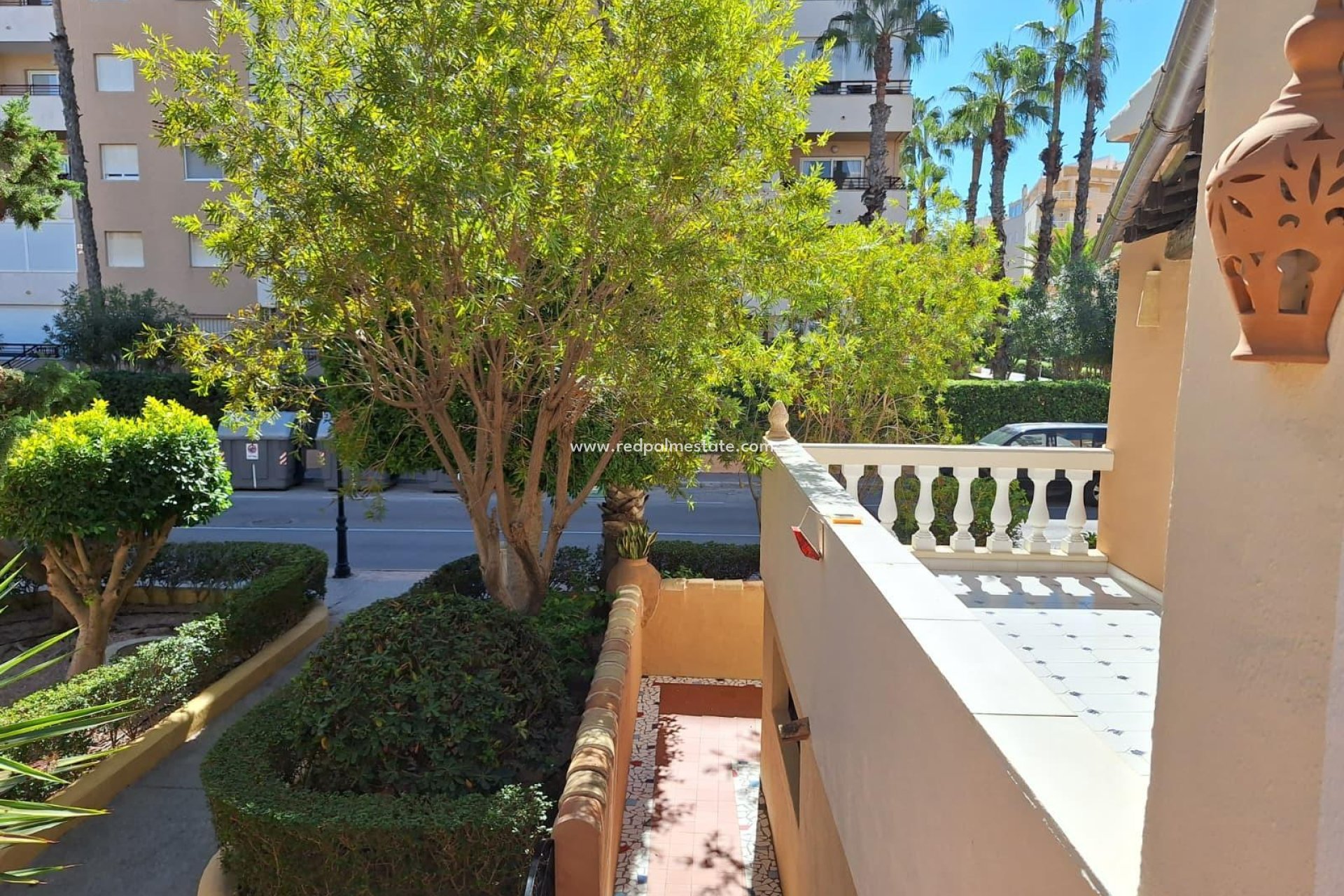 Reventa - Apartamento -
Torrevieja - Rosaleda-los frutales