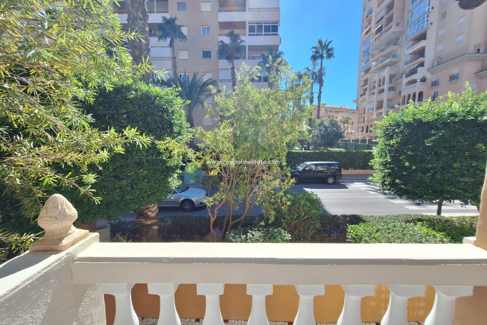 Reventa - Apartamento -
Torrevieja - Rosaleda-los frutales