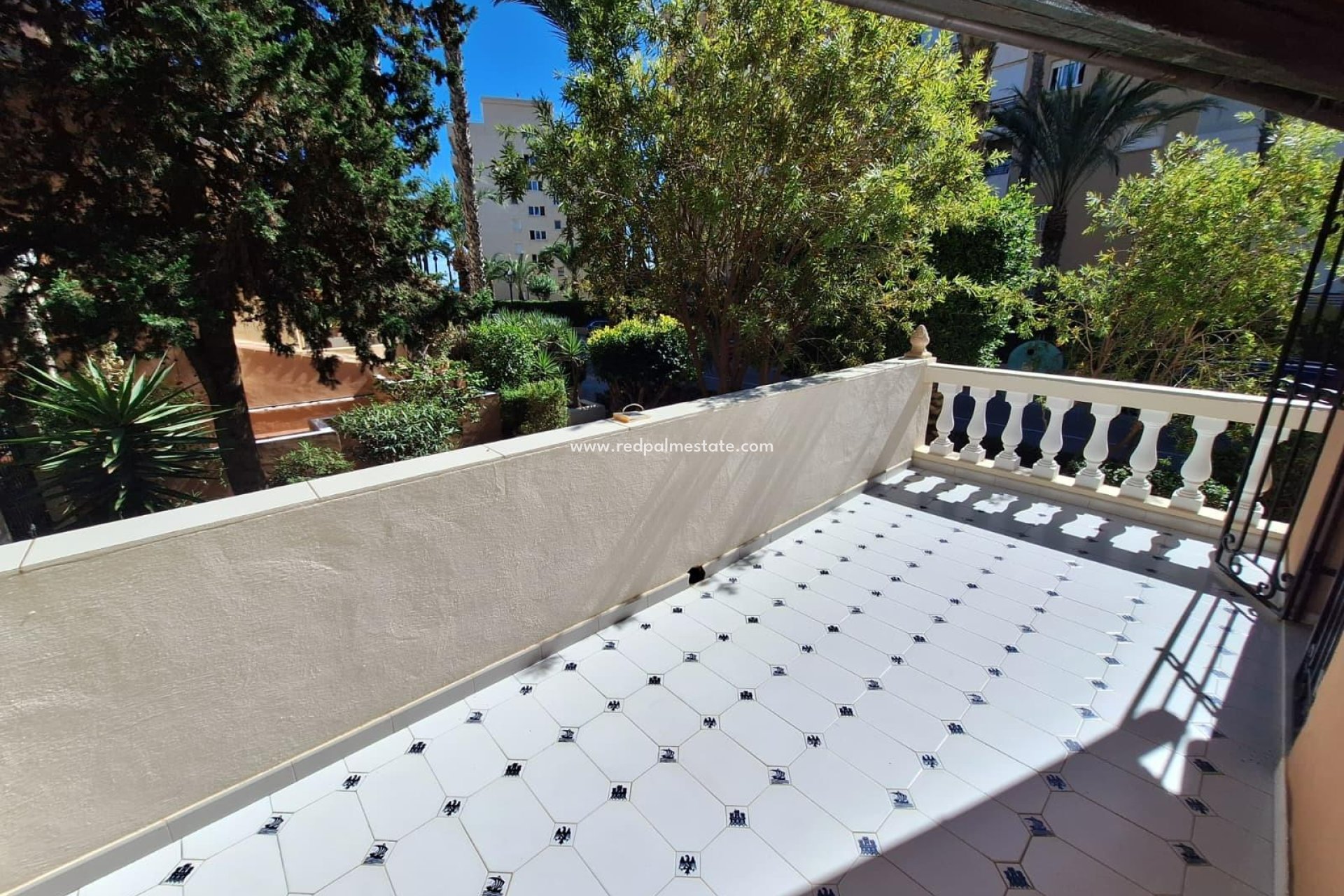 Reventa - Apartamento -
Torrevieja - Rosaleda-los frutales