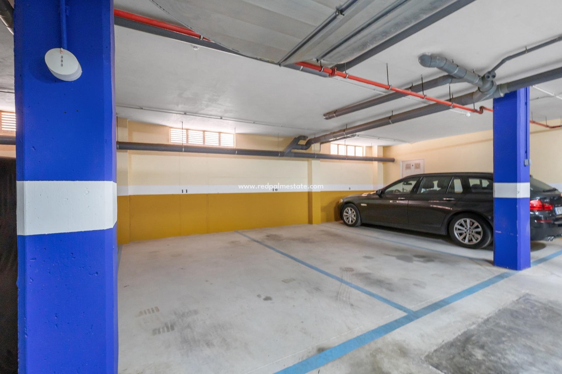 Reventa - Apartamento -
Torrevieja - Rosaleda-los frutales