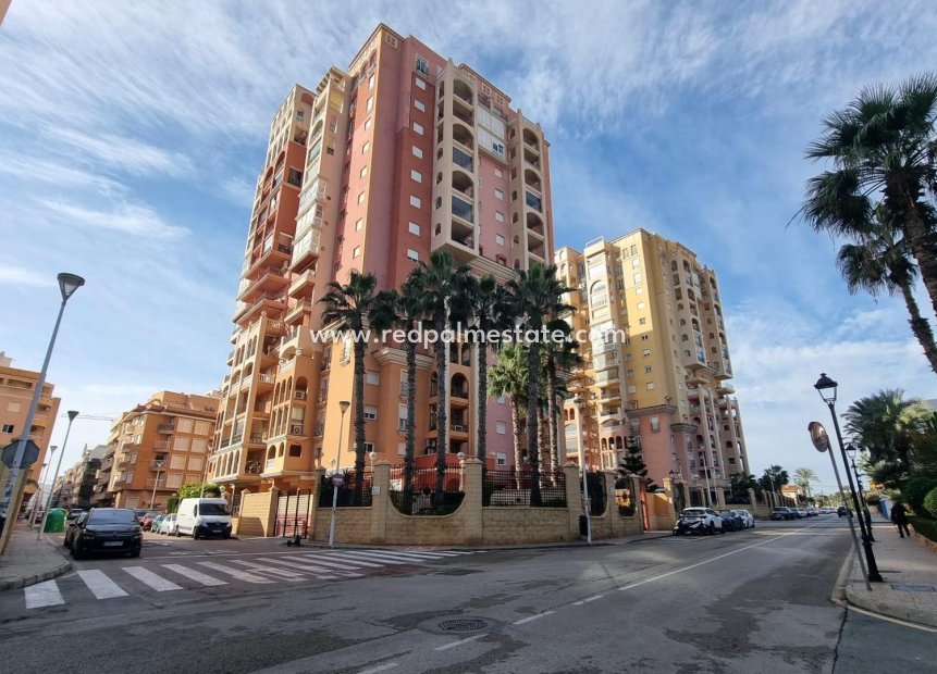 Reventa - Apartamento -
Torrevieja - Rosaleda-los frutales