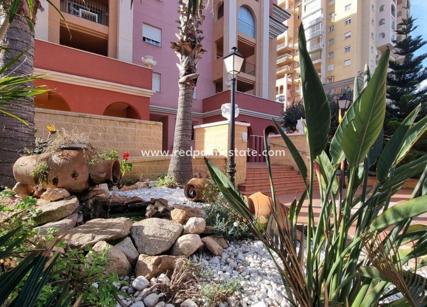 Reventa - Apartamento -
Torrevieja - Rosaleda-los frutales