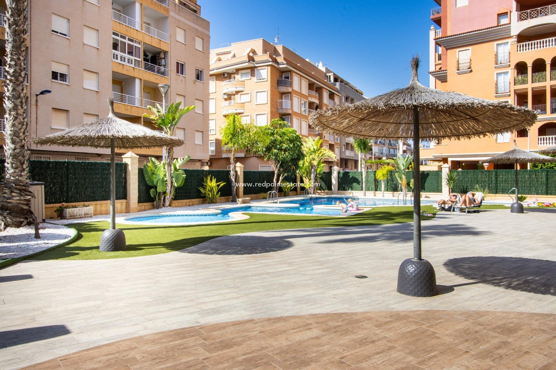 Reventa - Apartamento -
Torrevieja - Rosaleda-los frutales