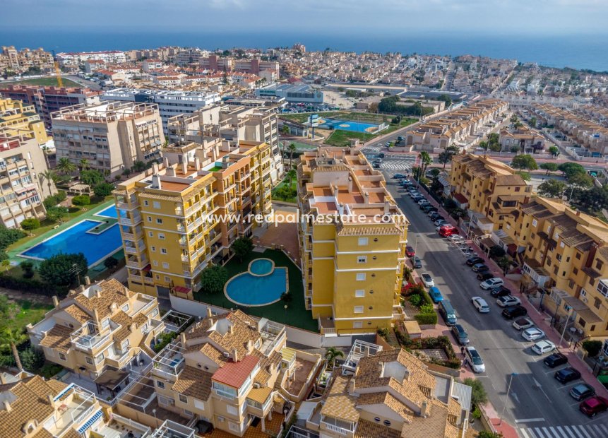 Reventa - Apartamento -
Torrevieja - Torreblanca
