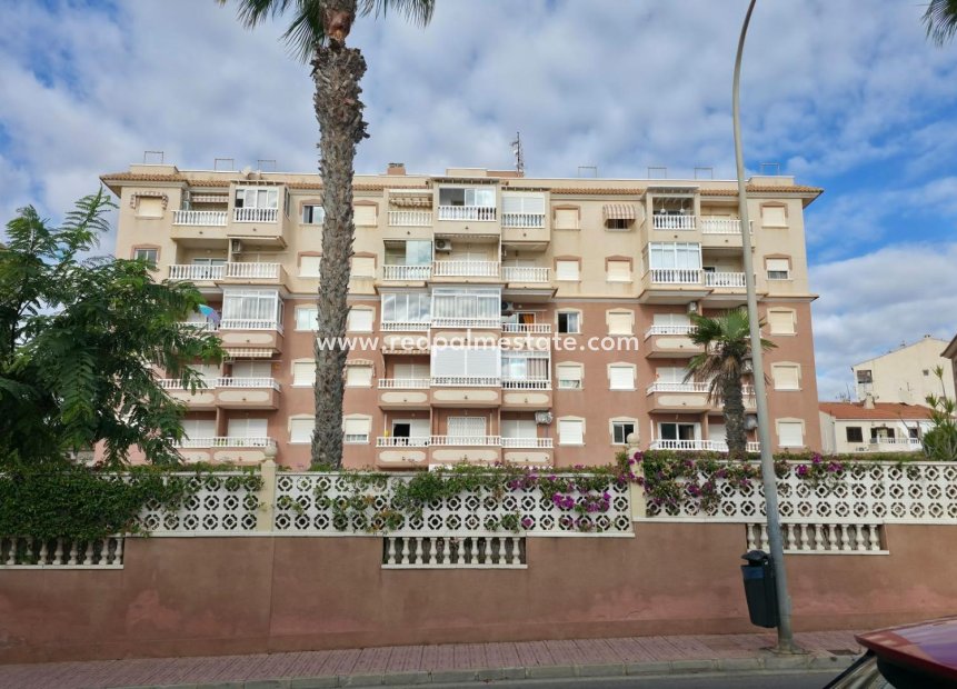 Reventa - Apartamento -
Torrevieja - Torreblanca