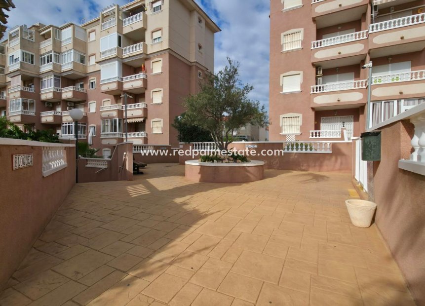 Reventa - Apartamento -
Torrevieja - Torreblanca