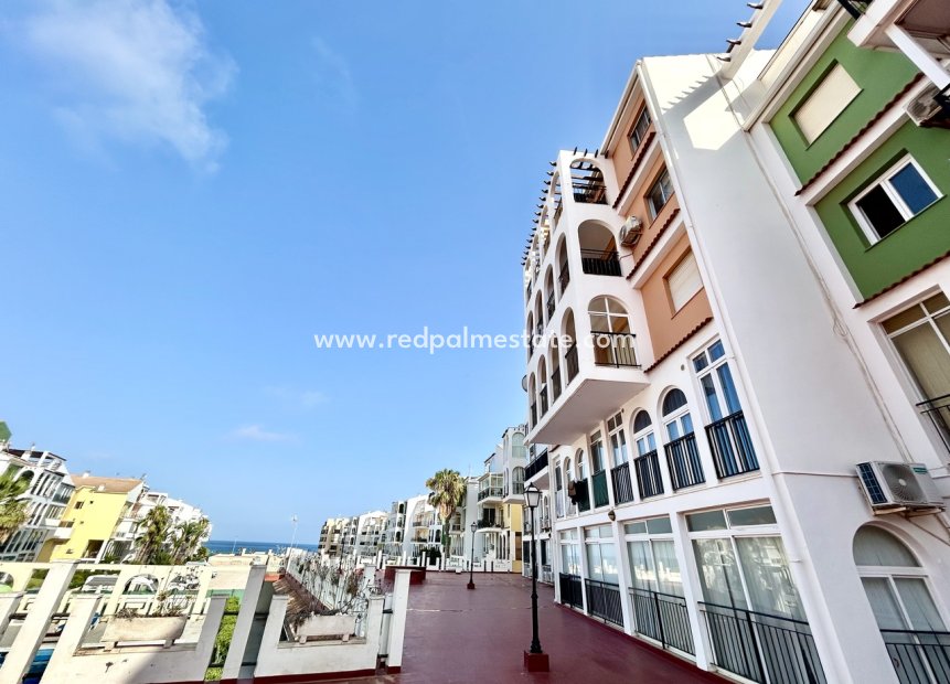 Reventa - Apartamento -
Torrevieja