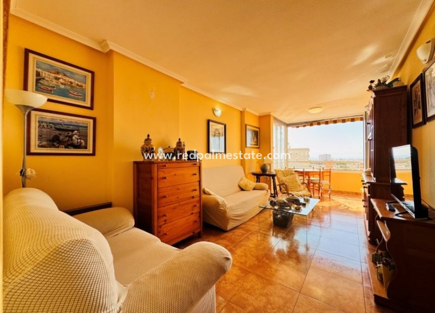 Reventa - Apartamento -
Torrevieja