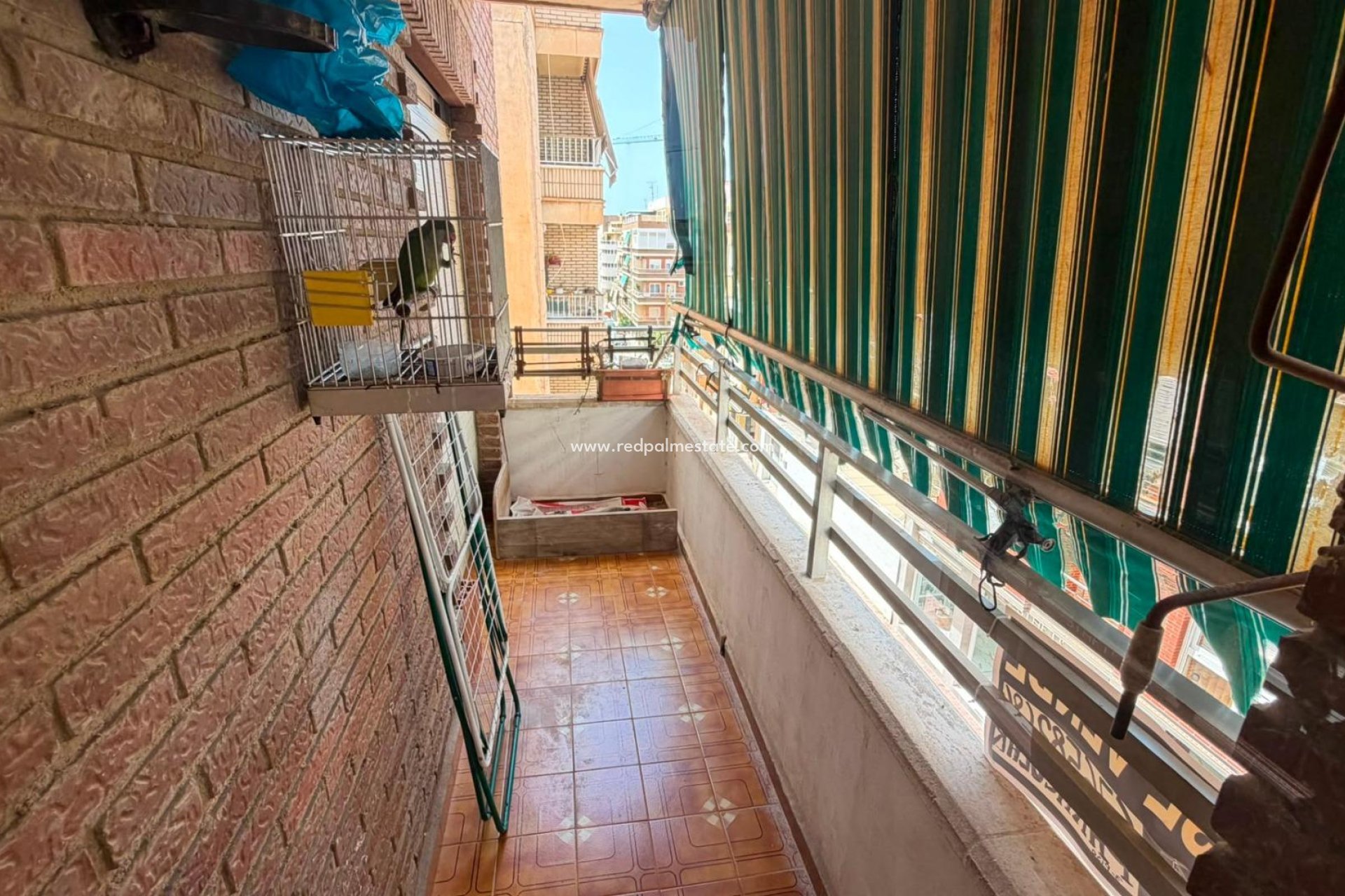 Reventa - Apartamento -
Torrevieja