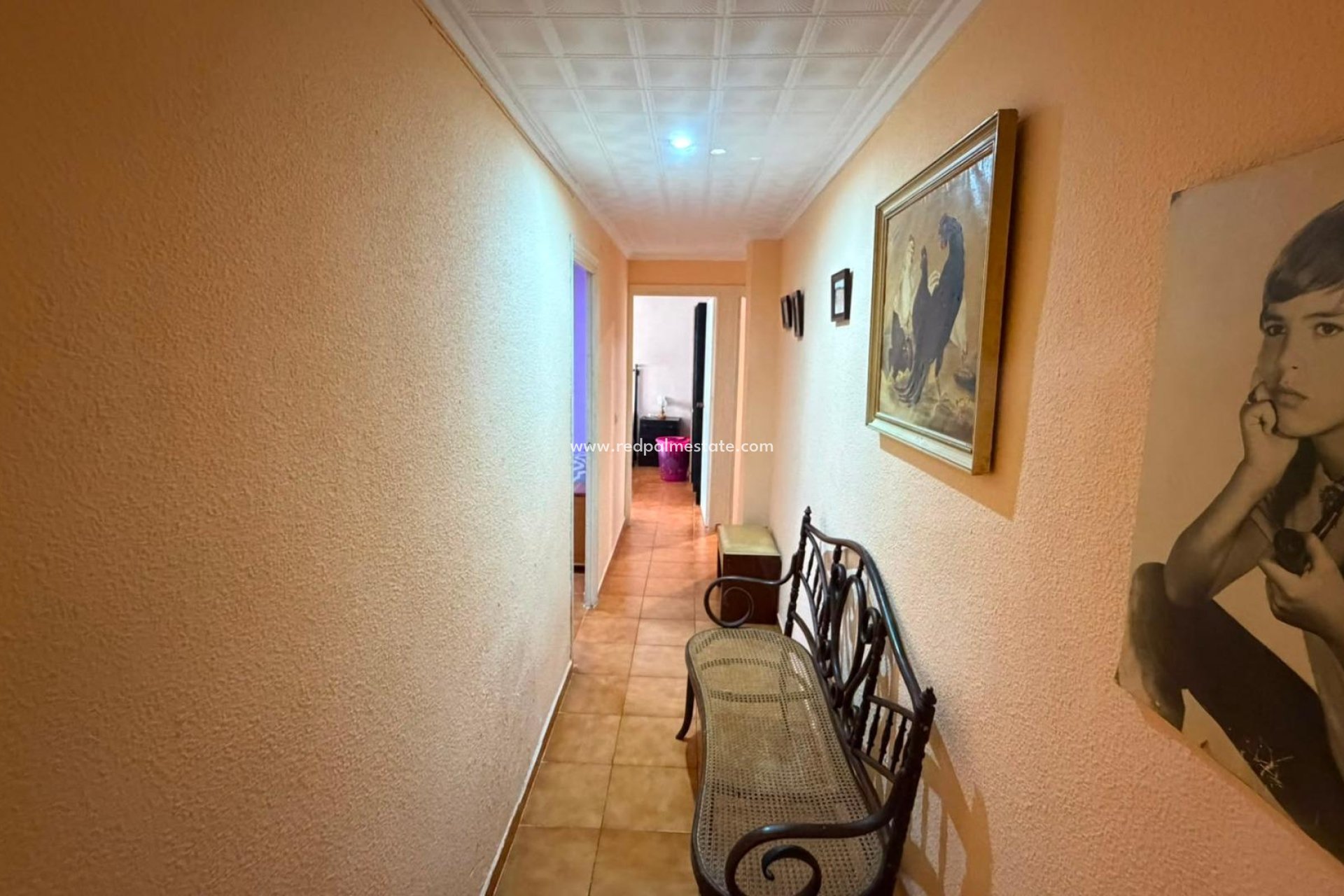 Reventa - Apartamento -
Torrevieja