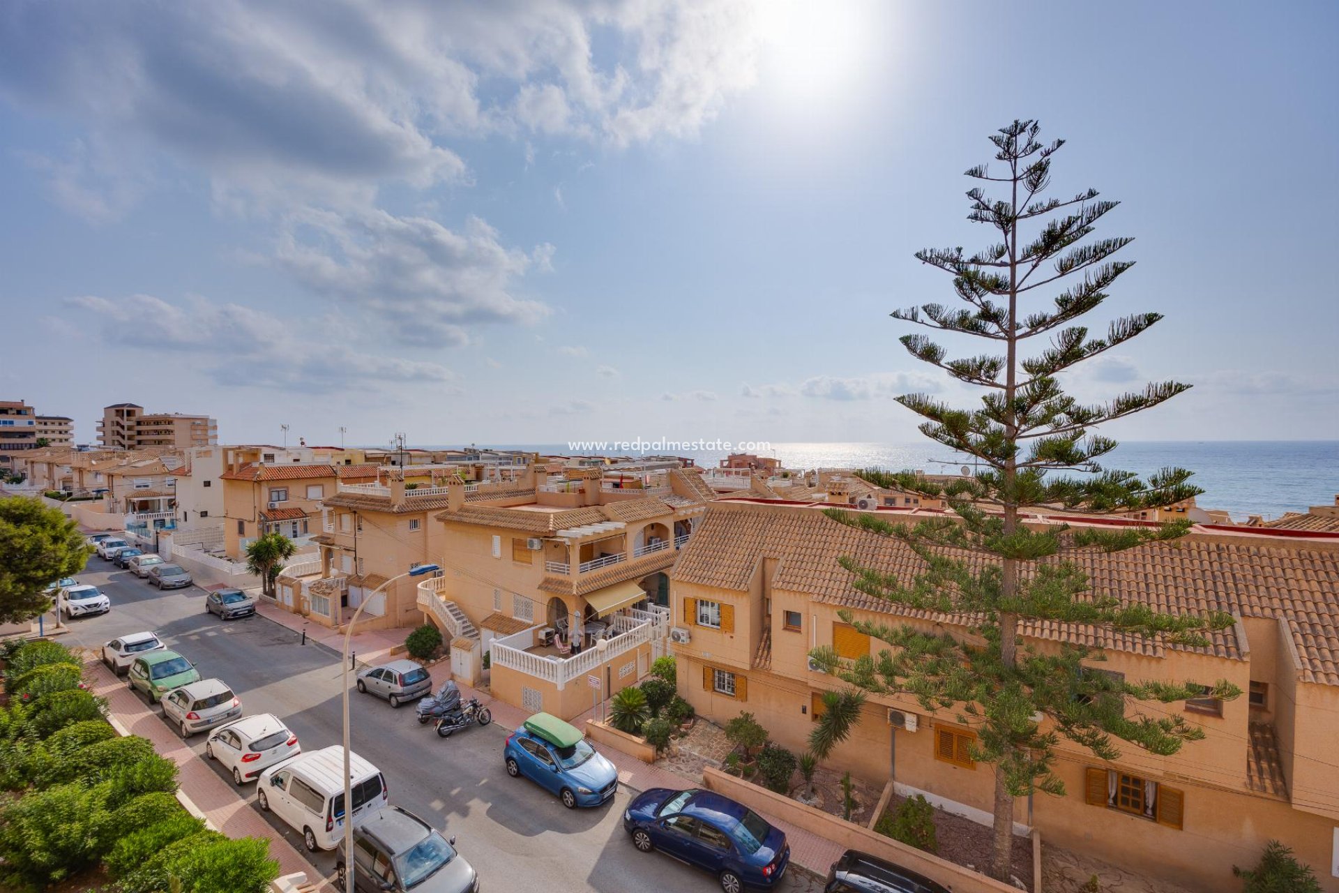 Reventa - Apartamento -
Torrevieja