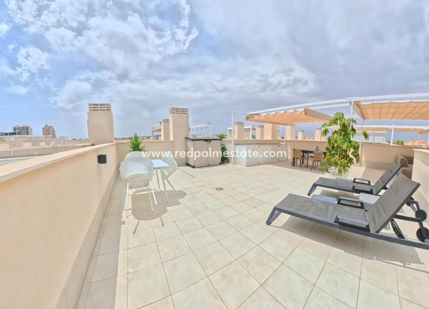 Reventa - Apartamento -
Torrevieja