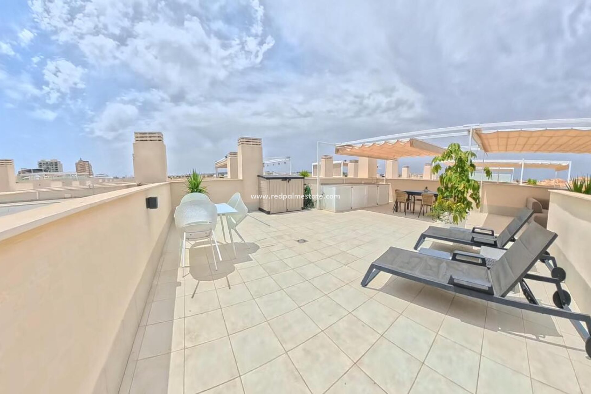 Reventa - Apartamento -
Torrevieja