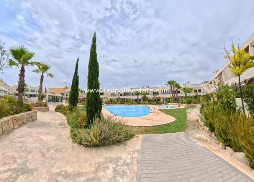 Reventa - Apartamento -
Torrevieja