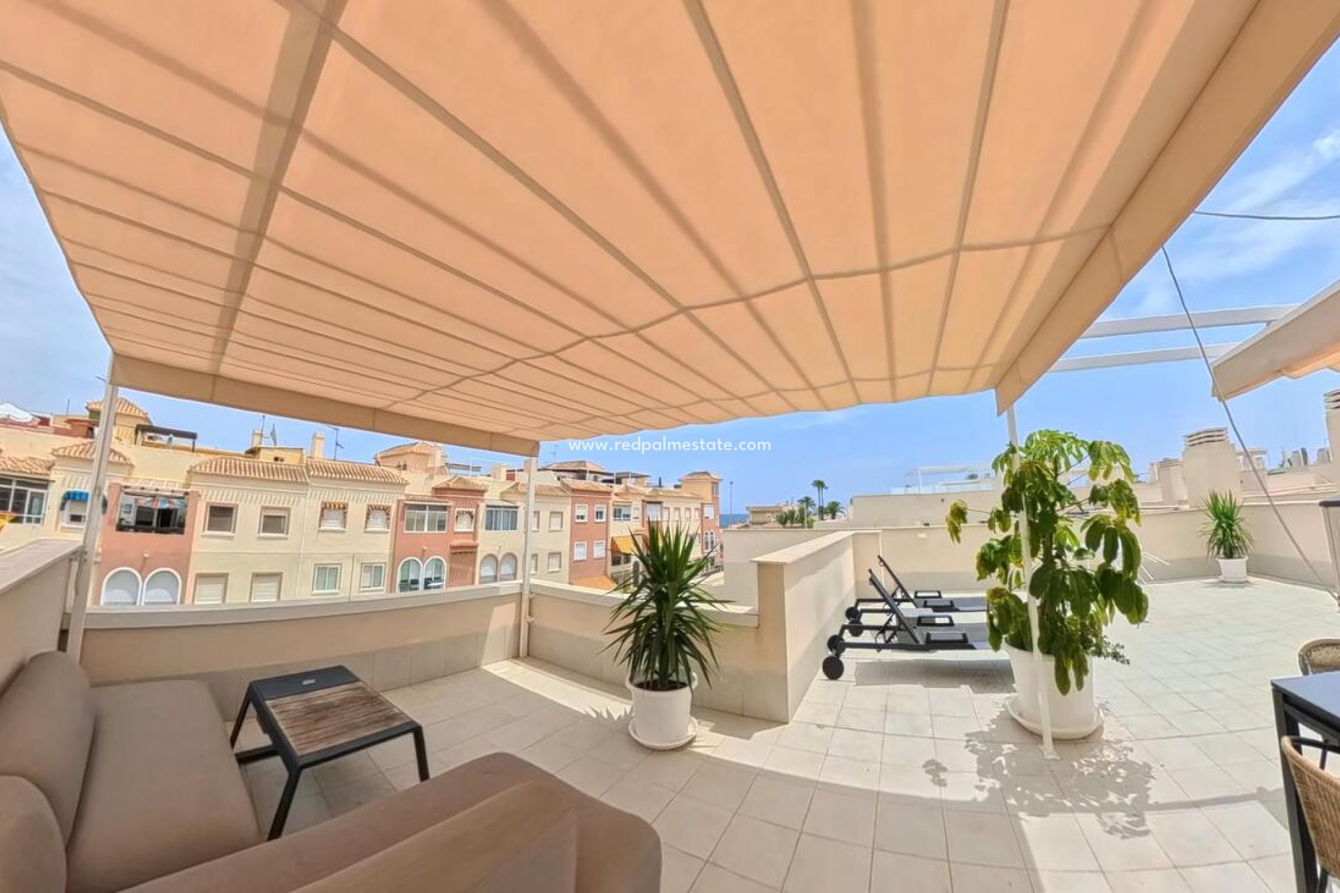 Reventa - Apartamento -
Torrevieja