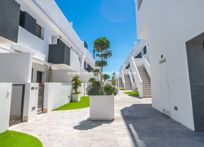 Reventa - Apartamento -
Torrevieja