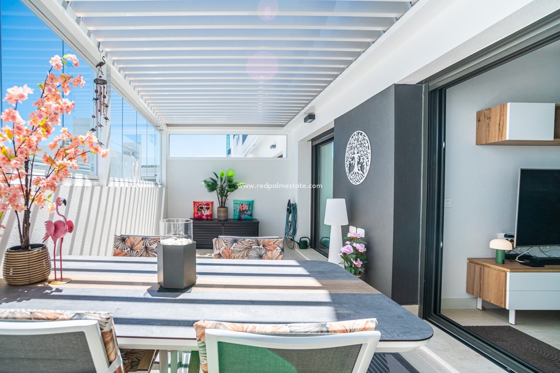 Reventa - Apartamento -
Torrevieja