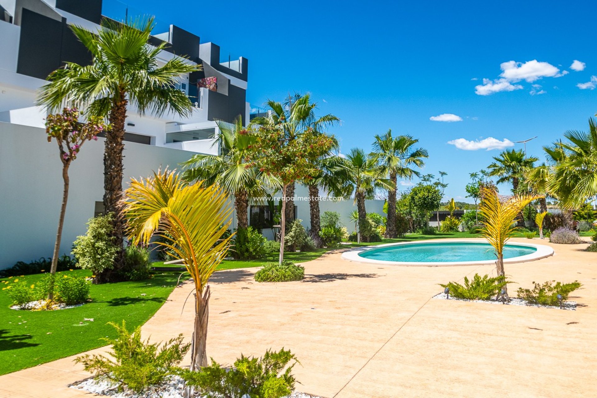Reventa - Apartamento -
Torrevieja