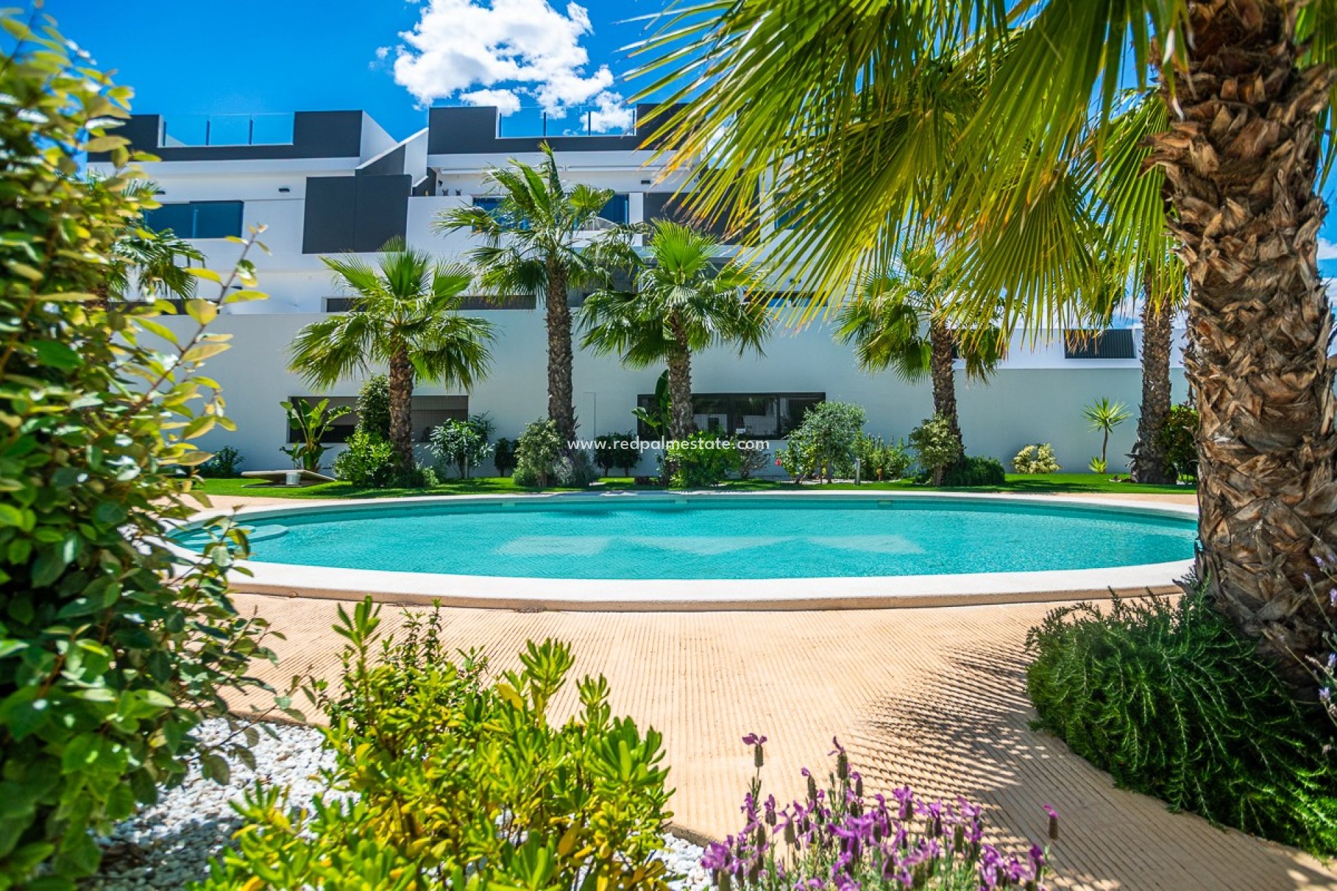 Reventa - Apartamento -
Torrevieja
