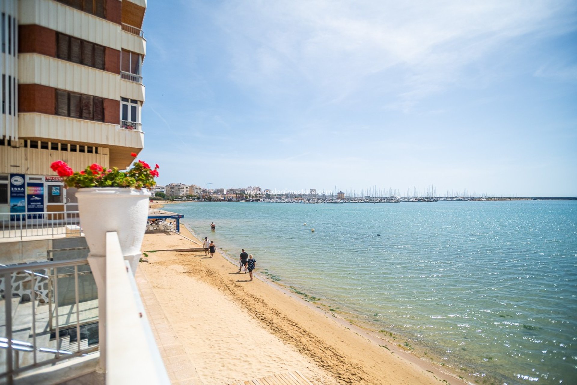 Reventa - Apartamento -
Torrevieja