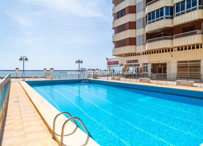 Reventa - Apartamento -
Torrevieja