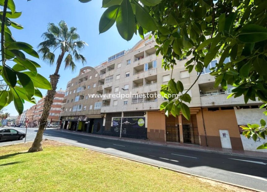 Reventa - Apartamento -
Torrevieja