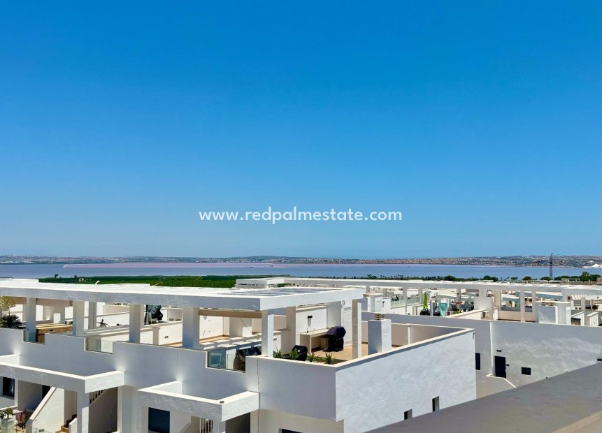 Reventa - Apartamento -
Torrevieja