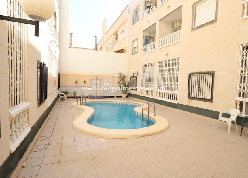 Reventa - Apartamento -
Torrevieja