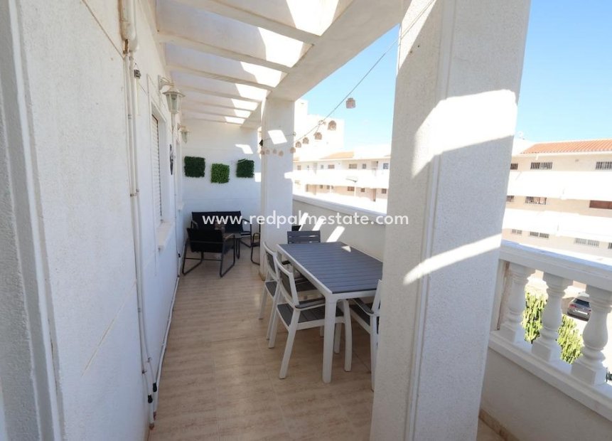Reventa - Apartamento -
Torrevieja
