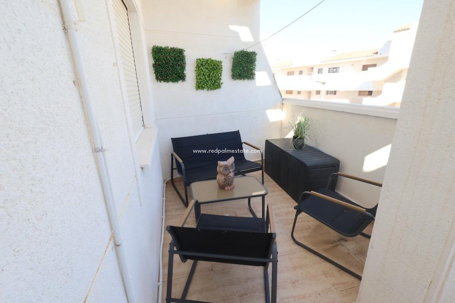 Reventa - Apartamento -
Torrevieja
