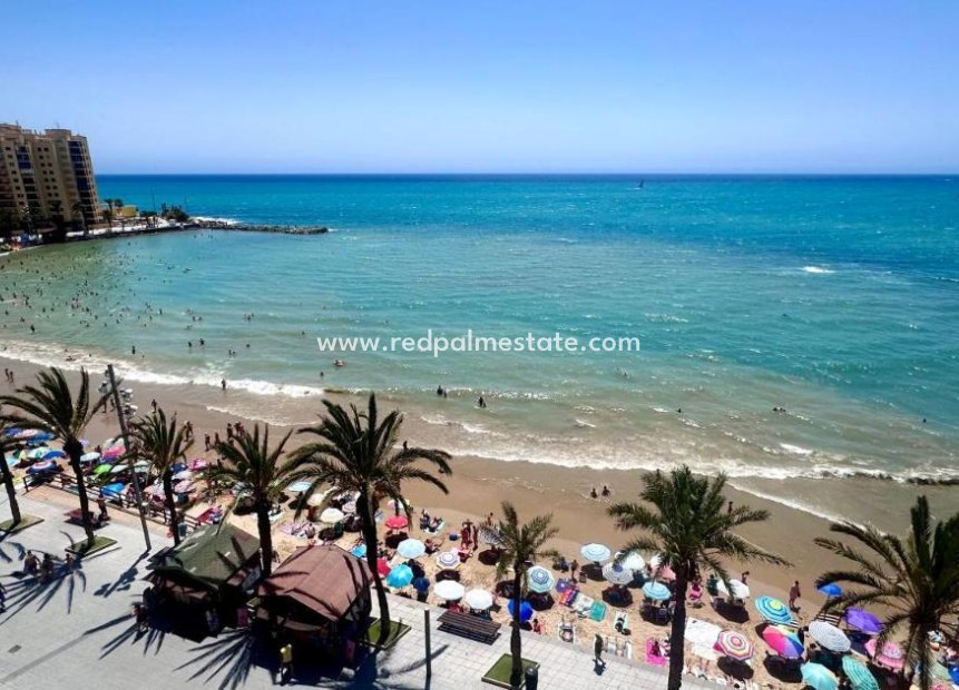 Reventa - Apartamento -
Torrevieja