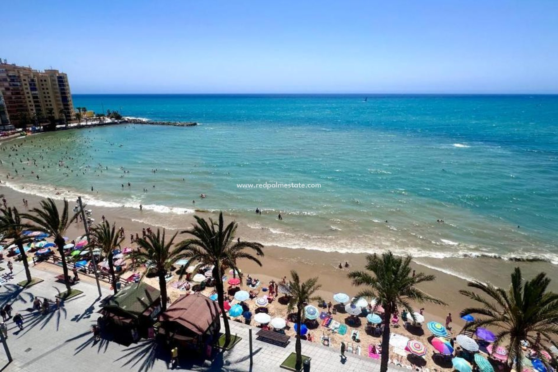 Reventa - Apartamento -
Torrevieja