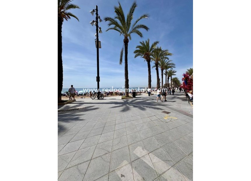 Reventa - Apartamento -
Torrevieja